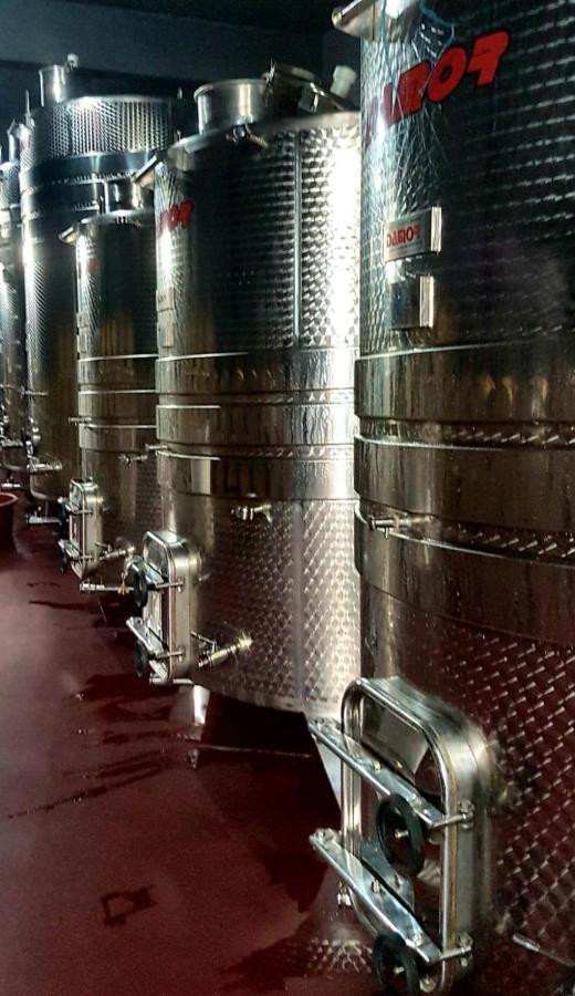 塞萨利卡酒店 Međugorje 外观 照片